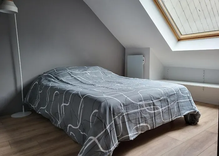 Apartman Duplex Pour 4 Pers, Hypercentre De *